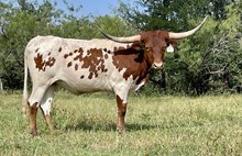 r3 Bandita's Copy